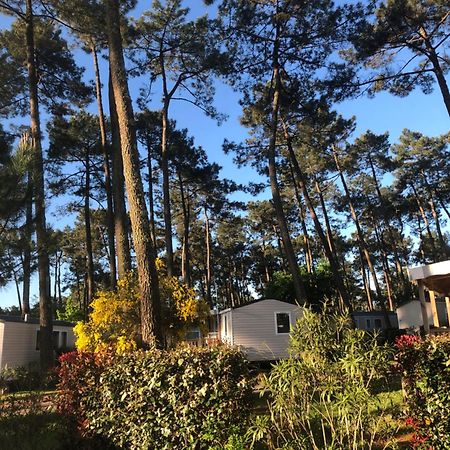 Mobile Home - Les Dunes De Contis サン・ジュリアン・アン・ボルヌ エクステリア 写真